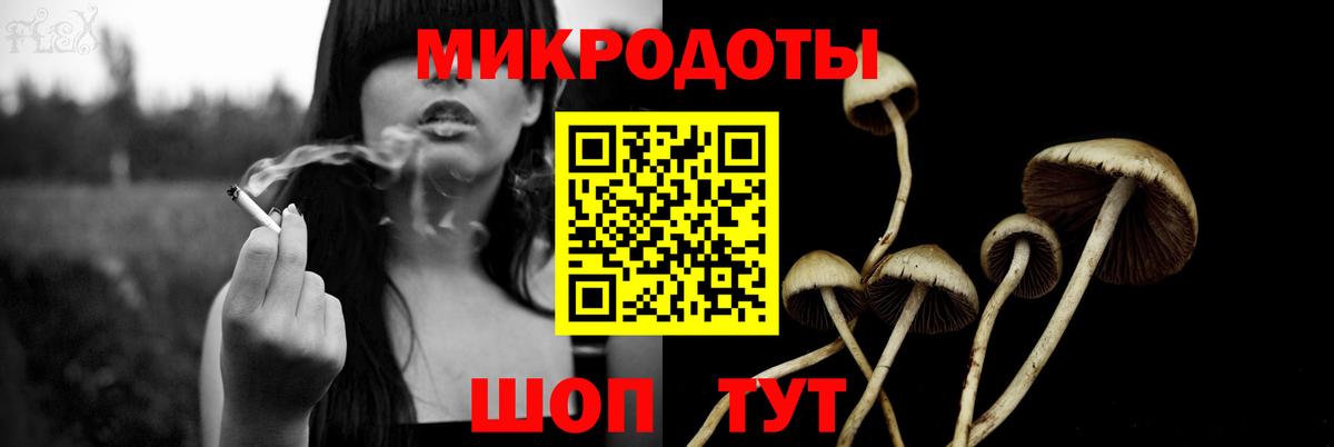Псилоцибиновые грибы Cubensis  Вход с VPN  Приморско-Ахтарск 